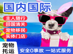 赛乌素航空托运国际宠物托运 【国
